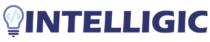 No 1 Website Development Company in India